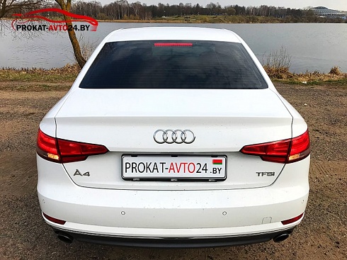 Аренда Audi A4 в Минске на свадьбу